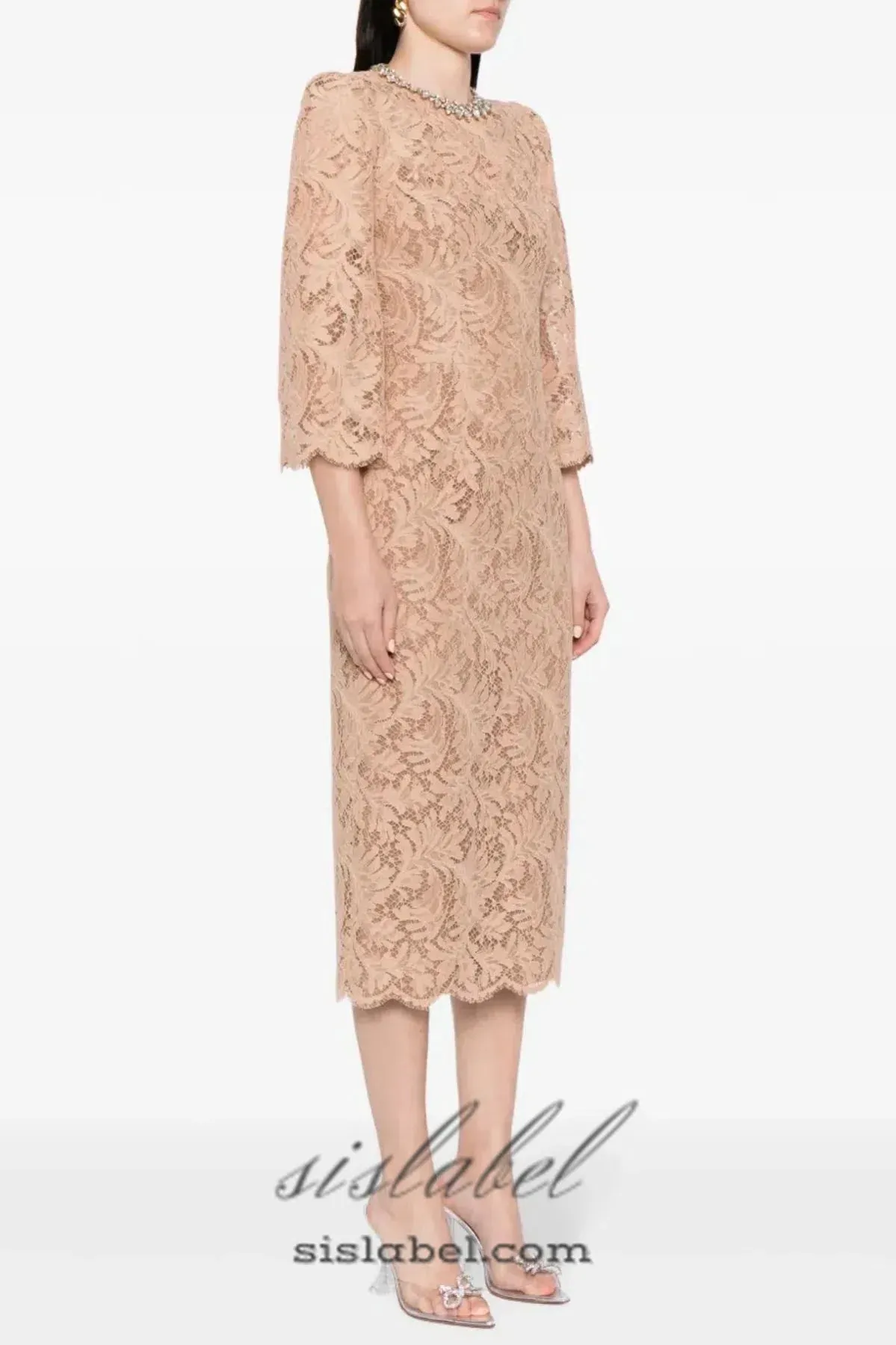 Acotas Lace Crystal-embellished Midi Dress in Nude